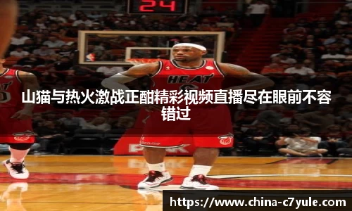 山猫与热火激战正酣精彩视频直播尽在眼前不容错过