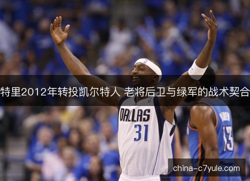 特里2012年转投凯尔特人 老将后卫与绿军的战术契合